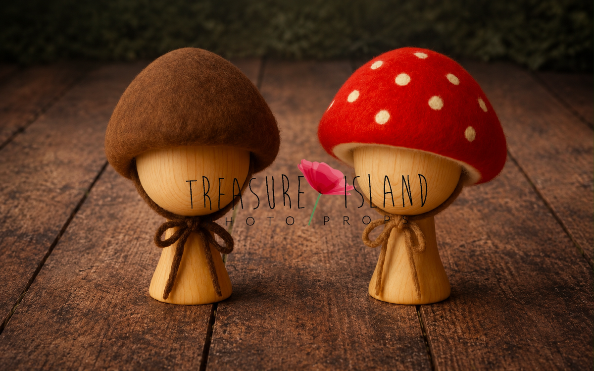 Hand-felted Bolete and Amanita mushroom baby hats for newborn and sitter photography