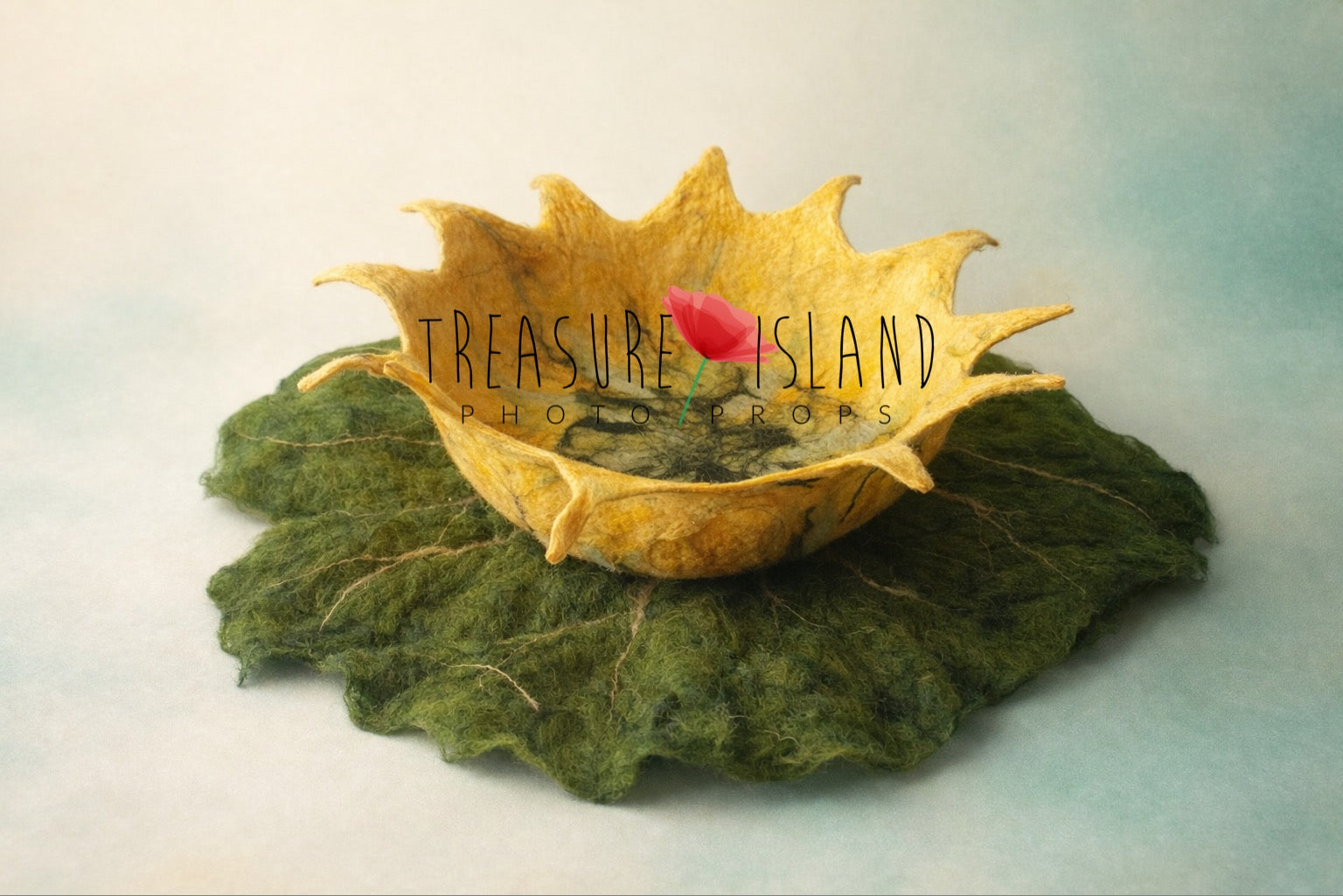Helia golden hand-felted flower bowl with green botanical leaf for newborn and sitter fairy photography