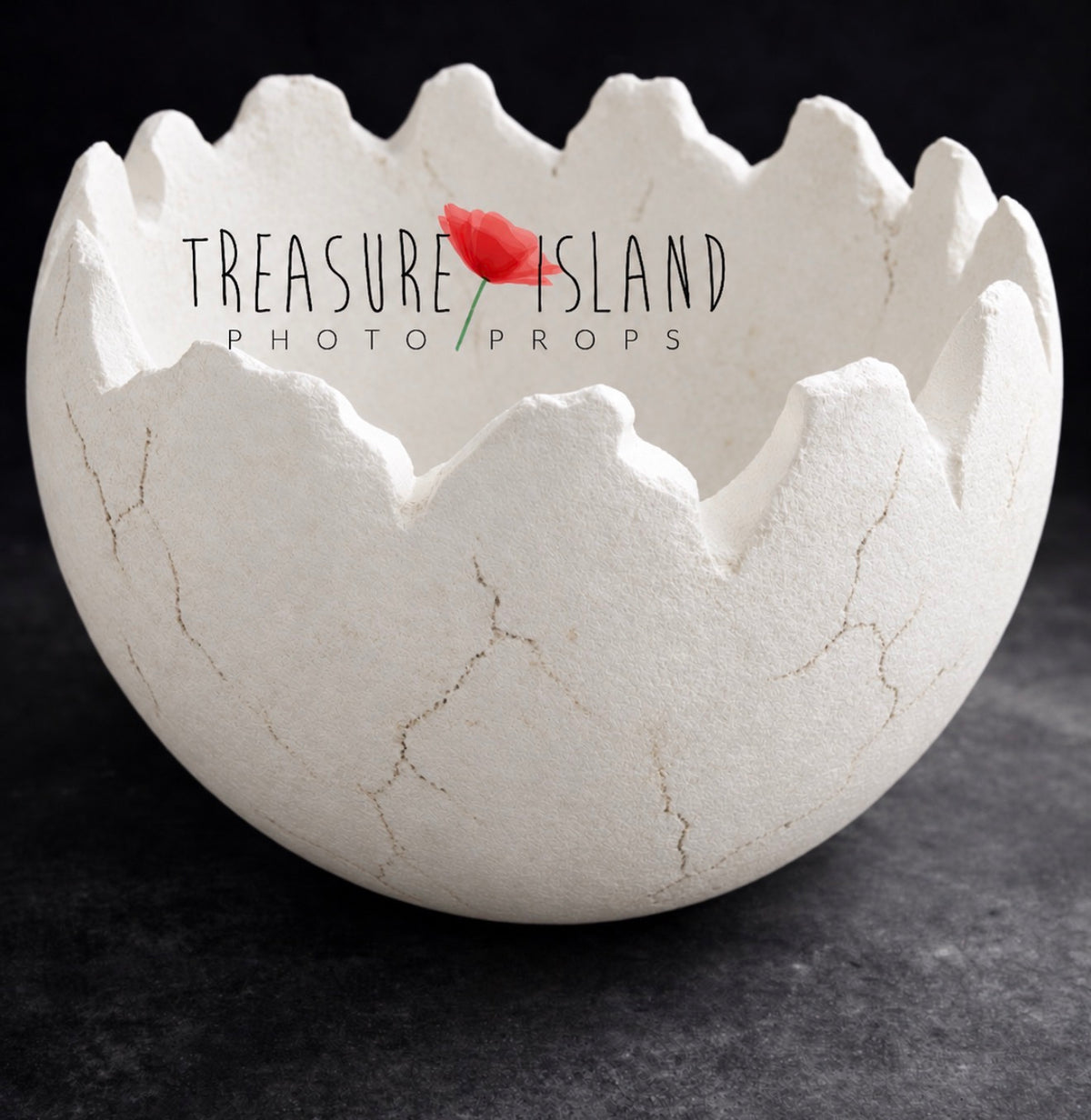 Natural white Dinosaur Eggshell photography prop with subtle hand-painted cracks