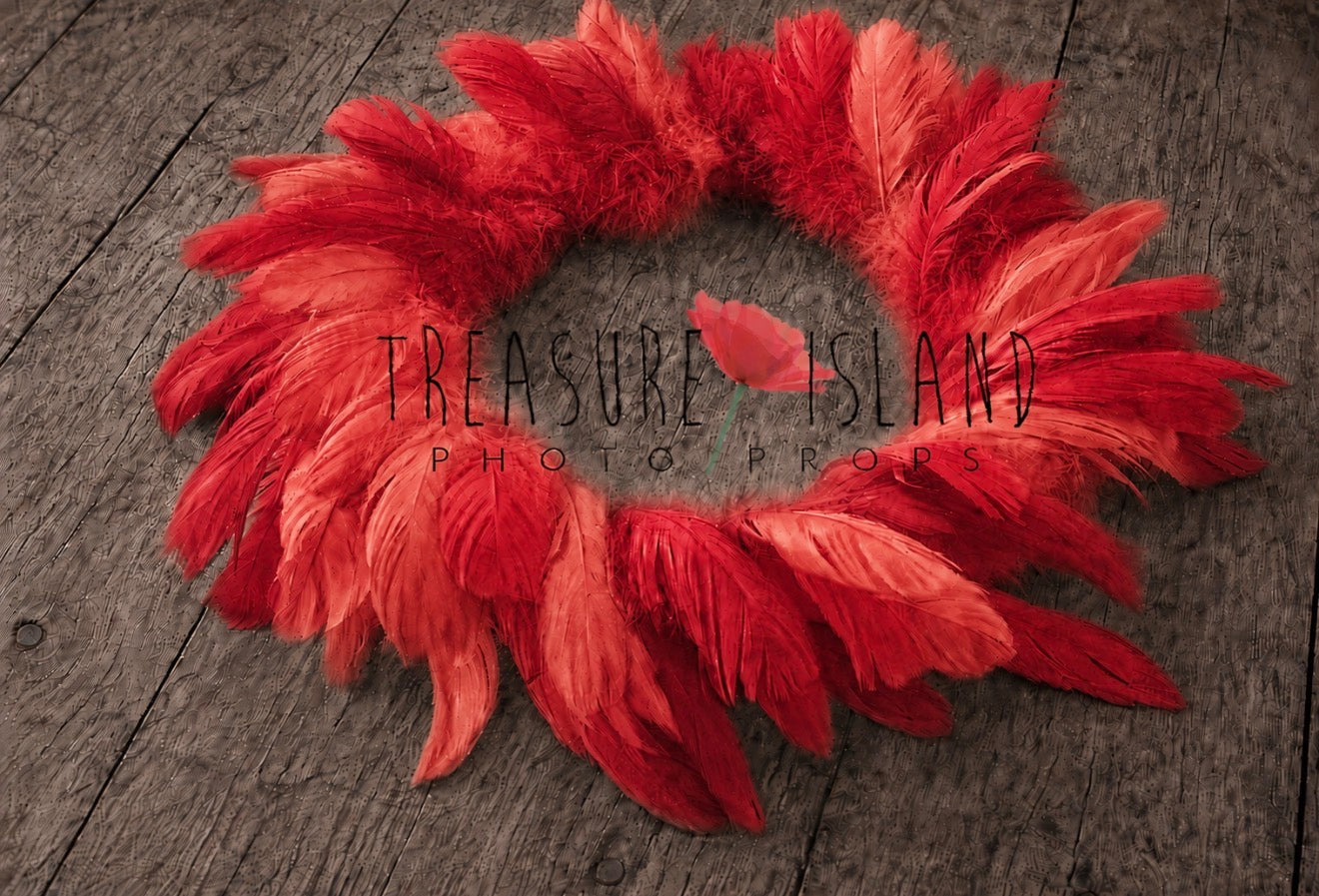 Poppy Red and red Feather Nest with hand-dyed layered feathers for newborn photography styling