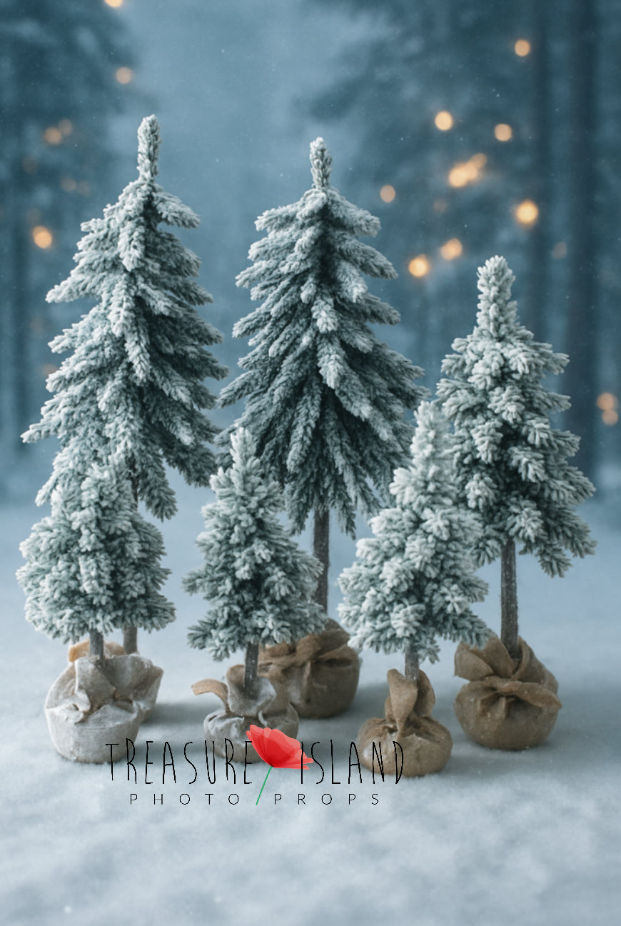 Group of snow-covered Christmas trees in different sizes for winter photography setups