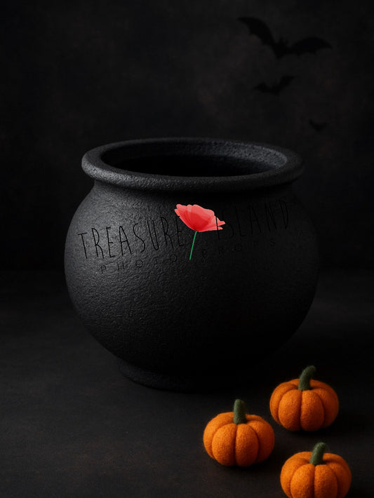 Luxury handmade black styrofoam cauldron bowl and handfelted mini pumpkin set for newborn and sitter photography, perfect for Halloween, witch, fantasy and magical Fine Art photo sessions