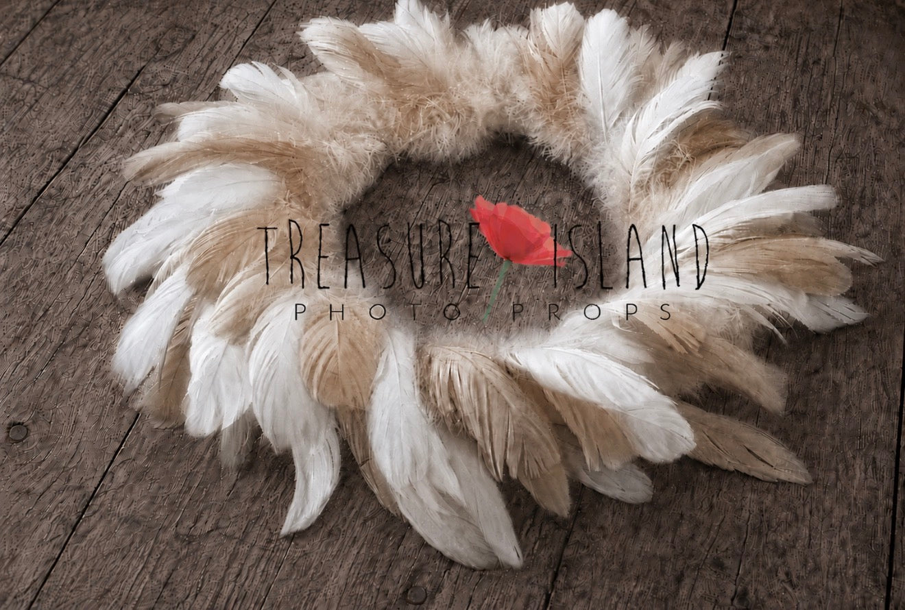White and beige Feather Nest with rich layered feather texture for newborn and sitter photography