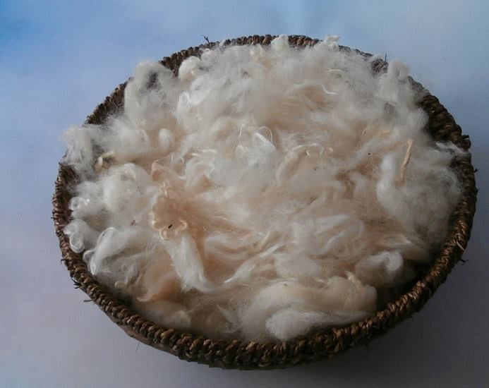Fluffy Stuffers – Soft Wool Filler for Newborn & Sitter Props