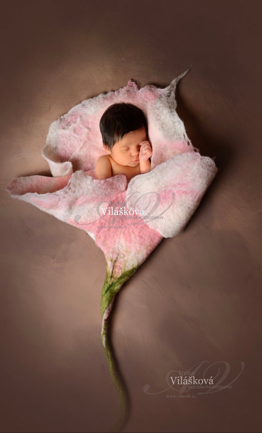 Newborn posed in a hand-felted flower nest photography prop