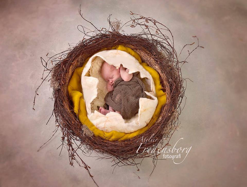 Newborn photography setup with handmade felted dinosaur eggshell styled inside a natural nest