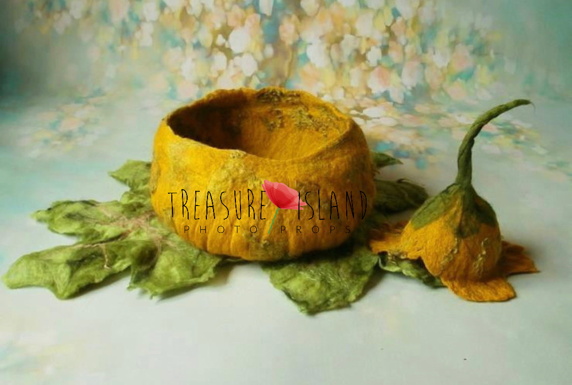 Handmade felted autumn photography bowl with coordinating leaf and hat