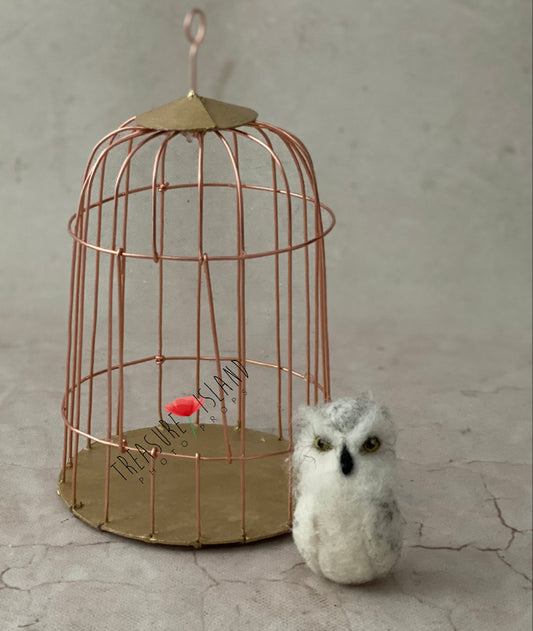 NEEDLE OWL and CAGE