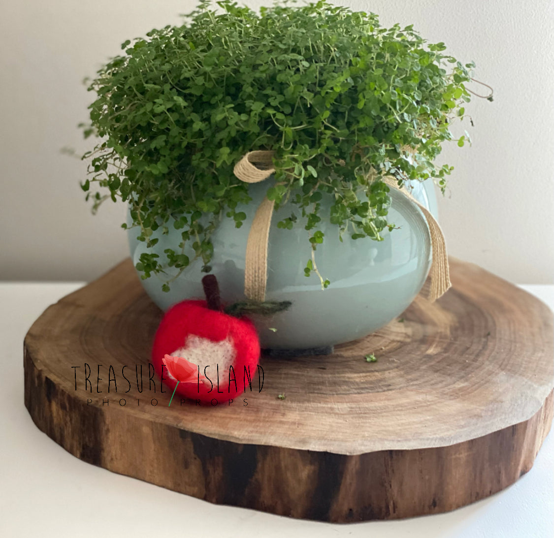 Felted Apple – Handmade Newborn Photography Props