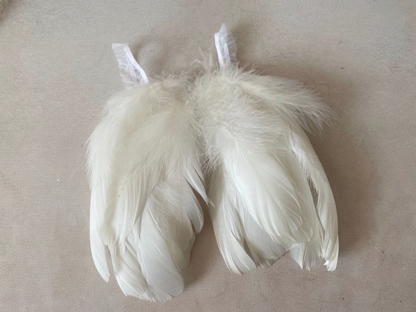 White Swan Heirloom – Sculpted Edition - Model II