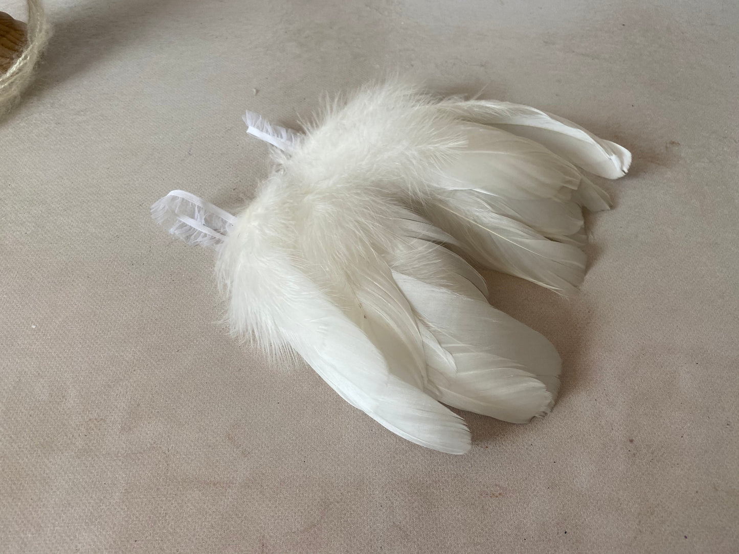 White Swan Heirloom – Sculpted Edition - Model II