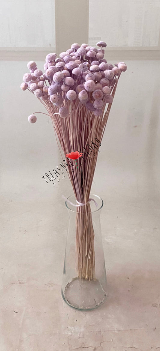 ✨ Bouquet of NATURAL dried grass 60 cm✨BOHO  design ✨ colour to choose