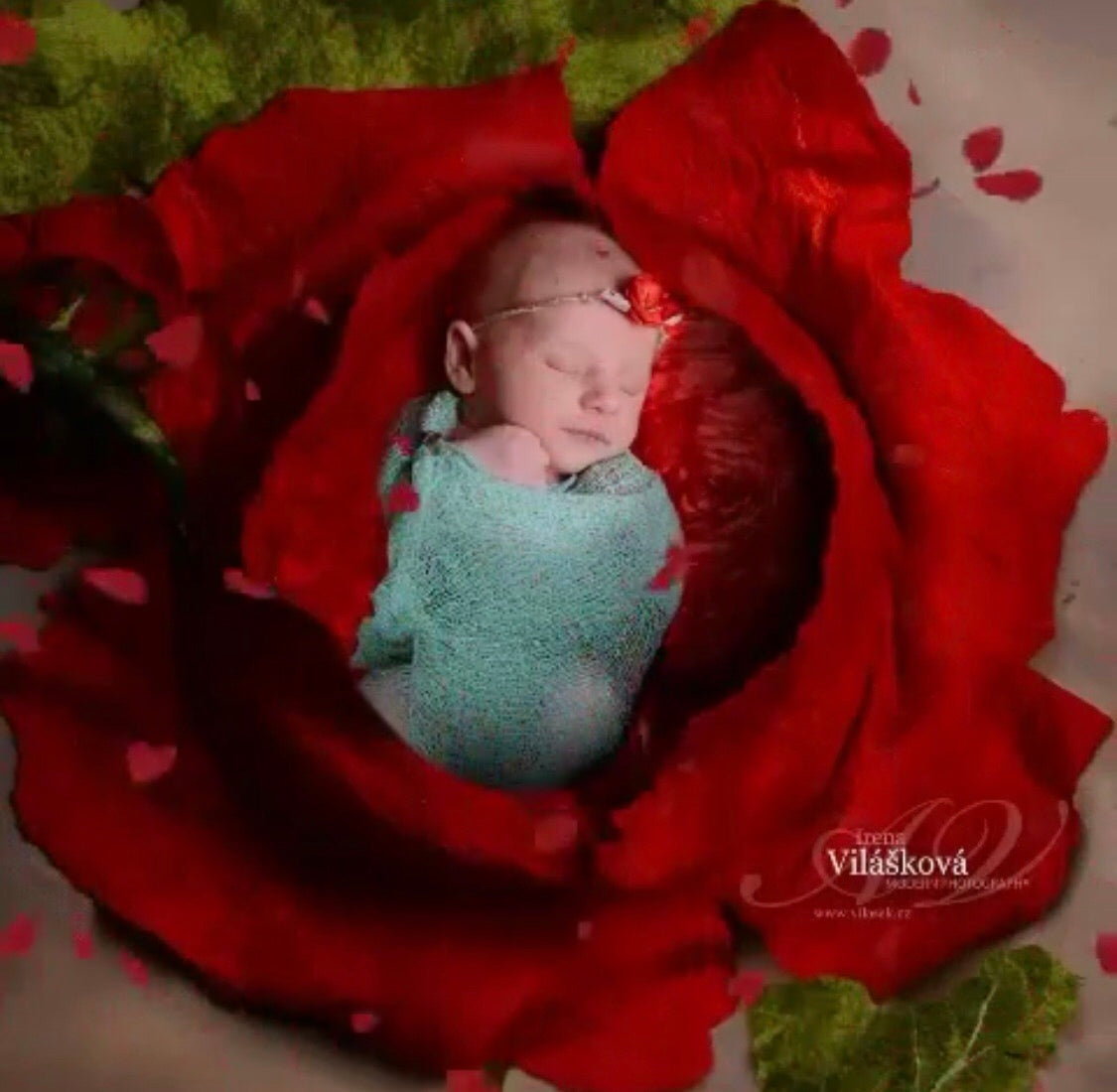 FELTED POPPY FLOWER BOWL✨Poppy hat ✨Poppy leaf