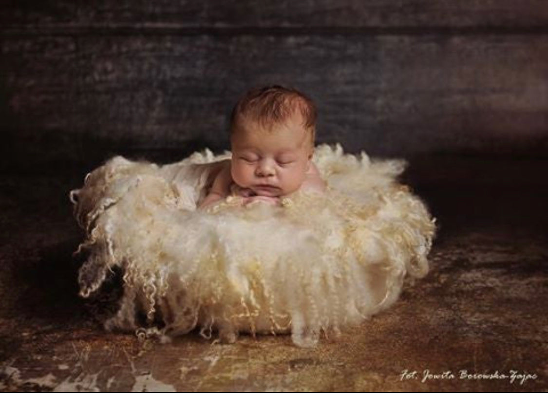 Newborn posed on a Pearl White hand-felted curly wool photography blanket