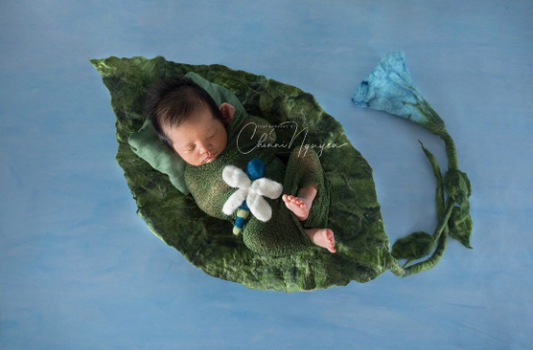 POSING LEAF – steife Form. Perfekt für NB- und Sitter-Sessions, einzeln, doppelt, dreifach …