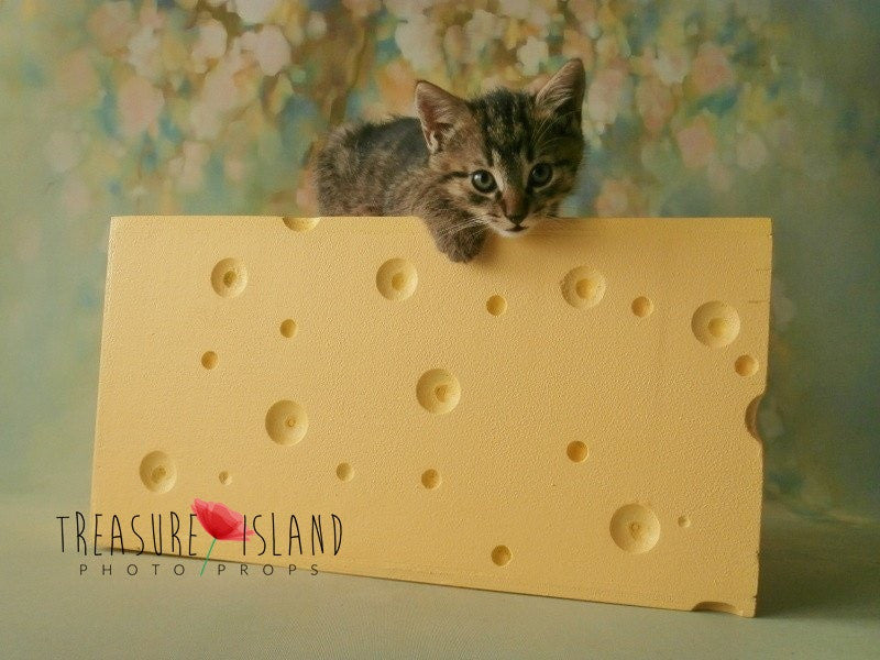 Giant Swiss Cheese Prop – Styrofoam Newborn & Sitter Photography Bowl - Mouse props